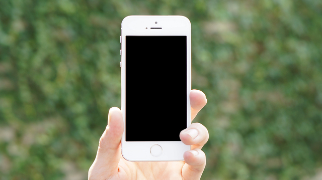 Retina pixta 12591979 s